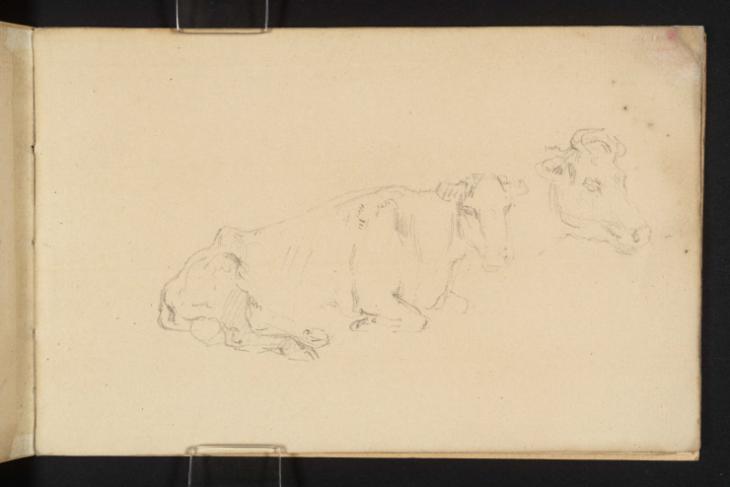 Joseph Mallord William Turner, ‘A Cow Lying Down; a Study of its Head’ c.1801