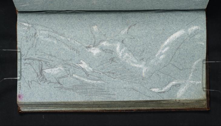 Joseph Mallord William Turner, ‘Study of a Fallen Tree’ ?1799