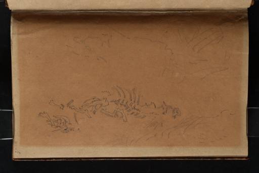 Joseph Mallord William Turner, ‘The Skeleton of an Animal’ c.1806-10