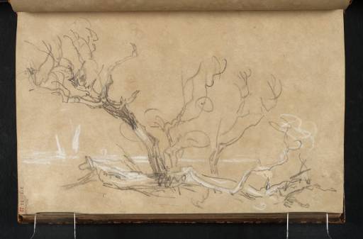 Joseph Mallord William Turner, ‘Group of Trees on Pevensey Marsh’ c.1806-10