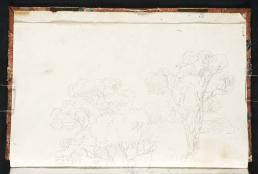 Joseph Mallord William Turner, ‘Two Trees’ 1805