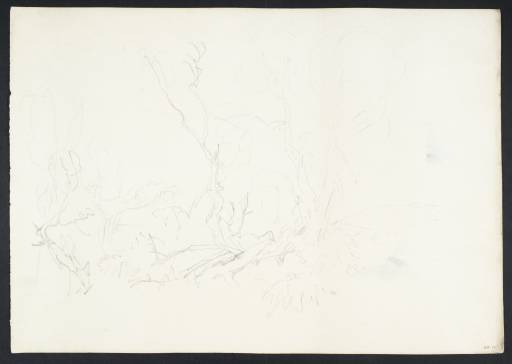 Joseph Mallord William Turner, ‘Group of Trees’ 1805