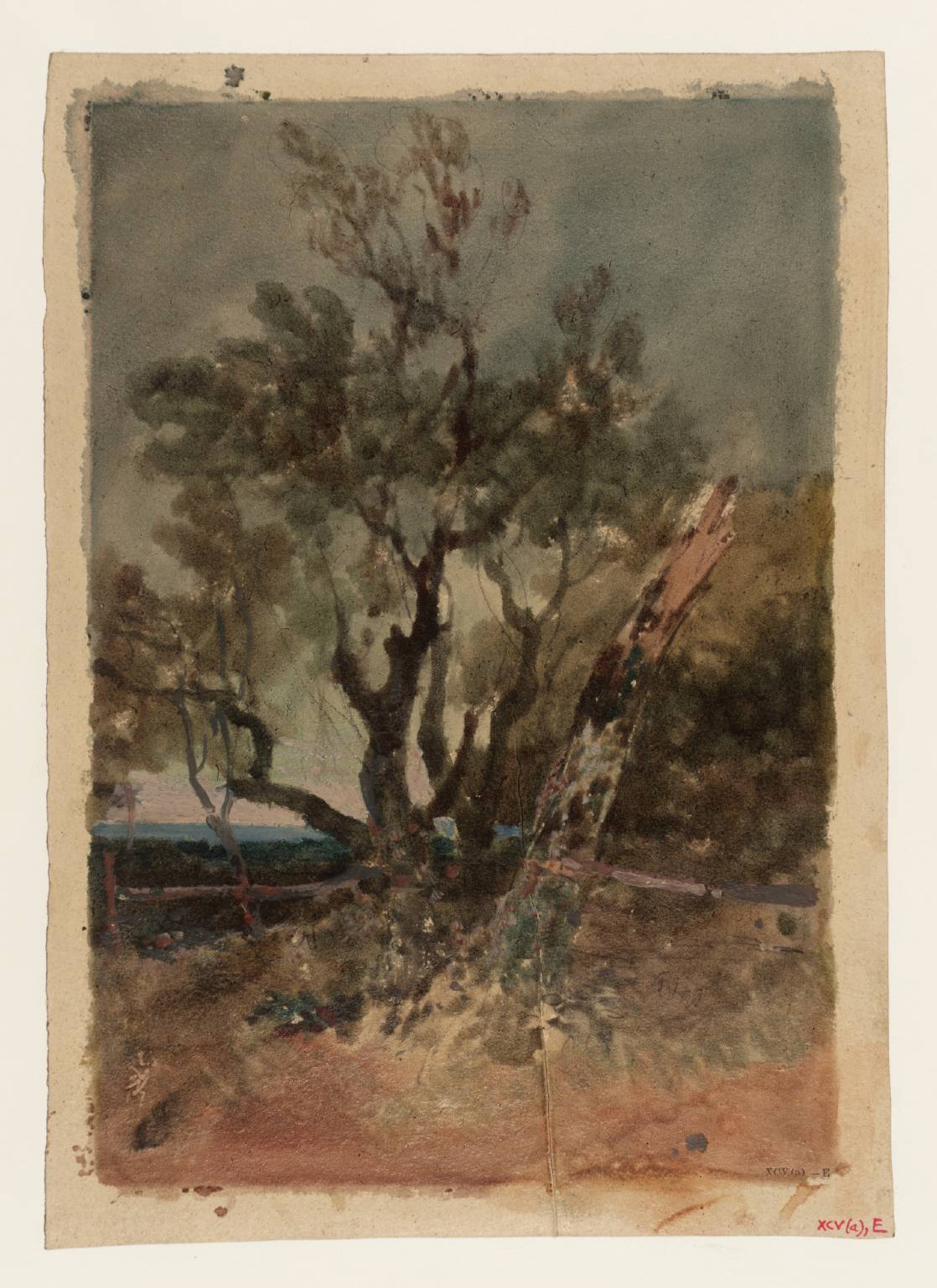 ‘An Evening Effect’: Trees at Knockholt