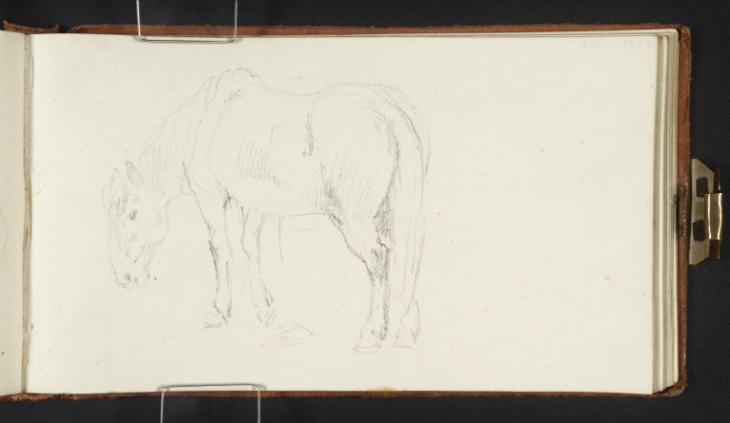 Joseph Mallord William Turner, ‘A Pony’ c.1807-8