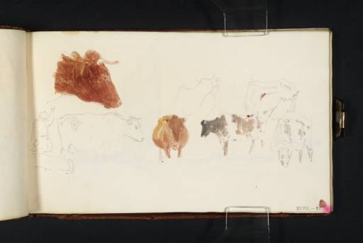 Joseph Mallord William Turner, ‘Cows and a Field Hand’ c.1806-8