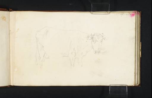 Joseph Mallord William Turner, ‘A Cow’ c.1806-8