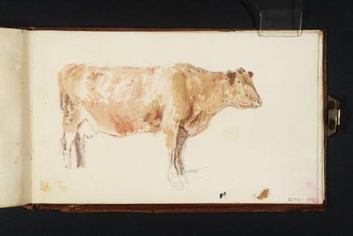 Joseph Mallord William Turner, ‘A Cow’ c.1806-8