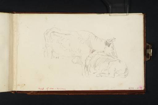 Joseph Mallord William Turner, ‘Two Cows’ c.1806-8