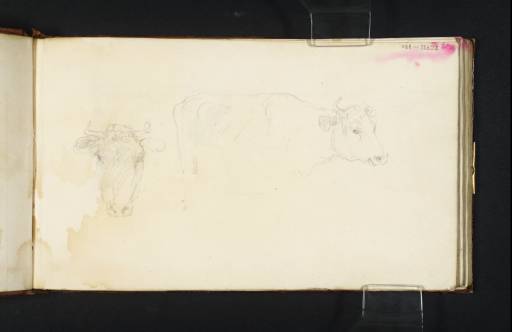 Joseph Mallord William Turner, ‘Cows’ c.1806-8