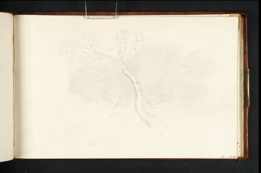 Joseph Mallord William Turner, ‘Tree, with Part of a Landscape’ 1807