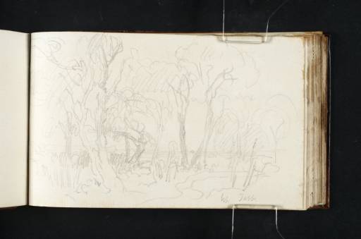 Joseph Mallord William Turner, ‘?Near Tabley: A Path through a Wood’ 1808