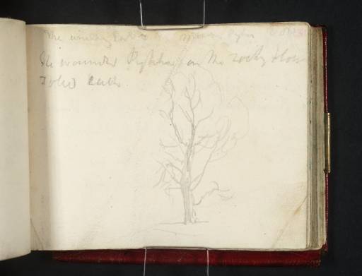 Joseph Mallord William Turner, ‘A Tree, and a Fragment of Verse (Inscription by Turner)’ circa 1809-11