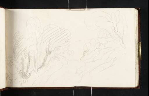 Joseph Mallord William Turner, ‘Group of Trees’ 1809