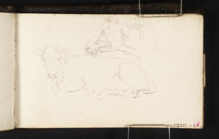 Joseph Mallord William Turner, ‘A Cow Lying Down and the Head of a Cow in Profile’ c.1807-14