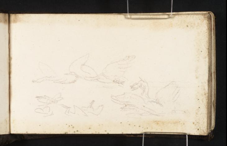 Joseph Mallord William Turner, ‘Swans in Motion’ c.1807-14