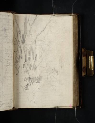 Joseph Mallord William Turner, ‘Trees beside a West Country Path or Stream’ 1811