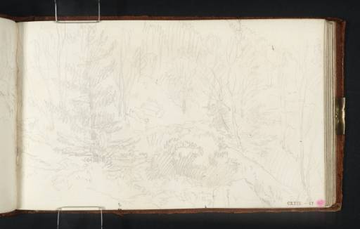 Joseph Mallord William Turner, ‘A Track Rising through Trees on Otley Chevin; Origin of 'Woodcock Shooting on the Chevin'’ c.1812-13
