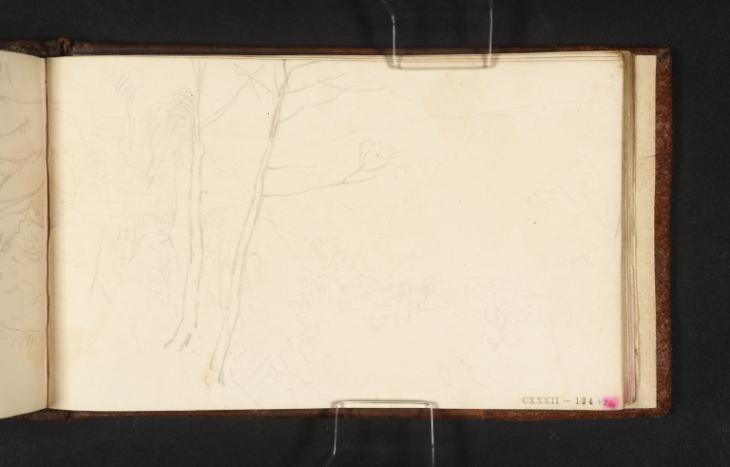 Joseph Mallord William Turner, ‘Trees above the River Tamar’ 1814