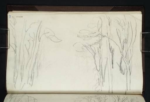 Joseph Mallord William Turner, ‘Trees in the Avenue at Farnley’ ?1814