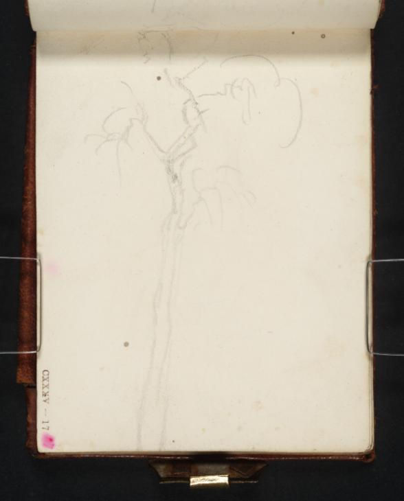 Joseph Mallord William Turner, ‘A Tall Tree’ c.1813