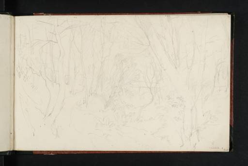Joseph Mallord William Turner, ‘The Woodwalk, Farnley Park’ ?1818