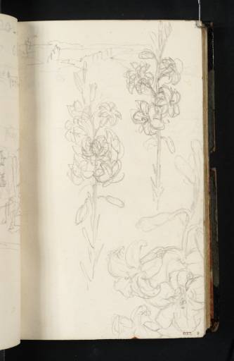 Joseph Mallord William Turner, ‘Continuation of Chertsey Bridge; Three Studies of a Lily, for 'The Decline of the Carthaginian Empire'’ c.1816-19