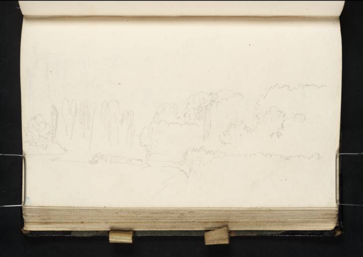 Joseph Mallord William Turner, ‘Trees on Richmond Hill; ?Nightingale Lane’ c.1816-19