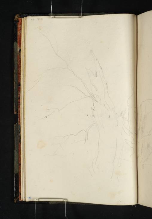 Joseph Mallord William Turner, ‘Study of Trees’ c.1816-19