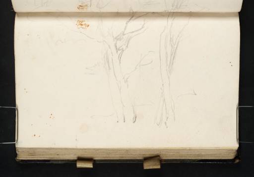 Joseph Mallord William Turner, ‘Study of Trees’ c.1816-19