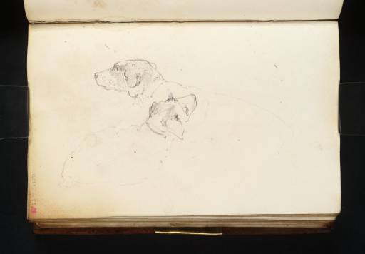 Joseph Mallord William Turner, ‘Two Gun Dogs’ c.1816
