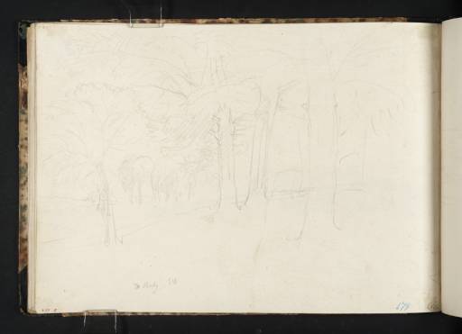 Joseph Mallord William Turner, ‘Beech Trees near Raby Castle’ 1817