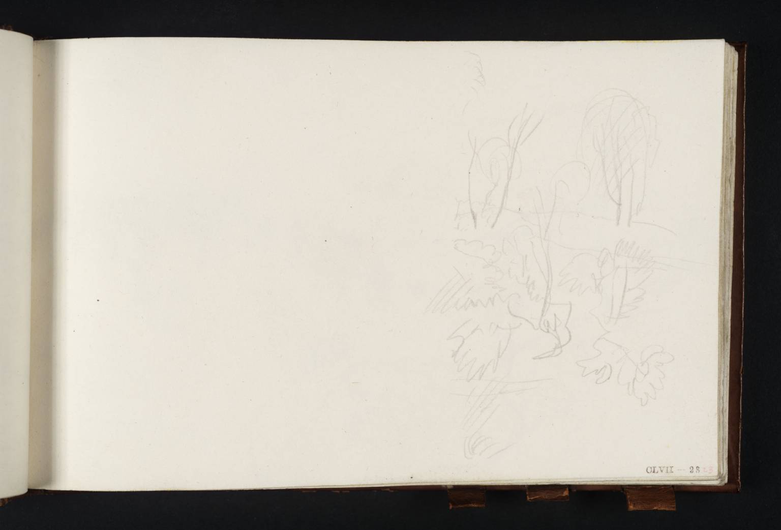 Auckland Castle, Bishop Auckland, from the River Gaunless