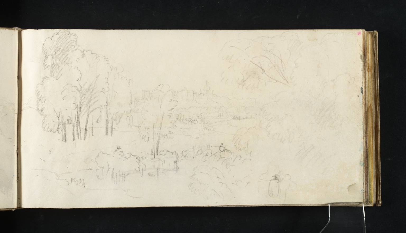 Sheep Washing, Windsor