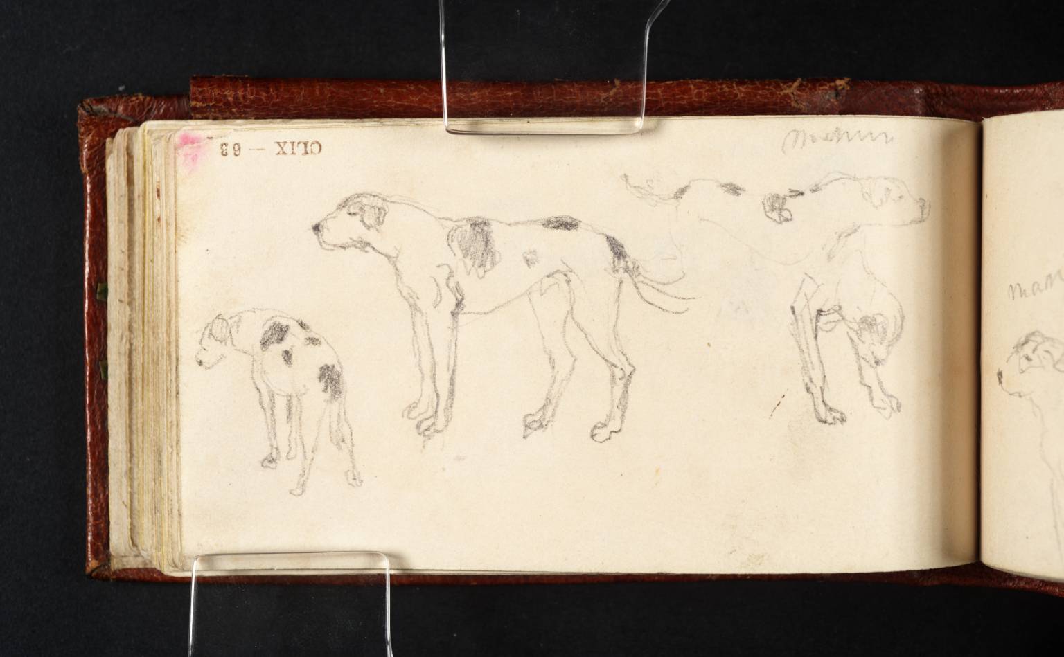 Hounds at Raby Castle