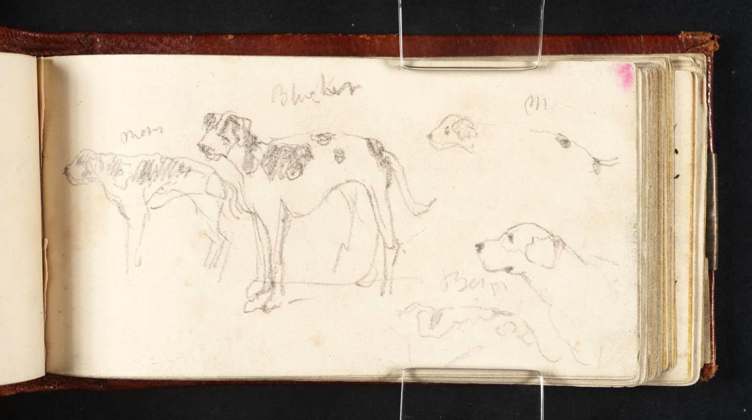 Hounds at Raby Castle