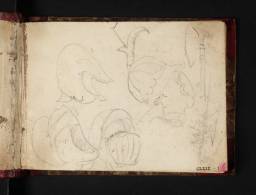 Aesacus and Hesperie Sketchbook