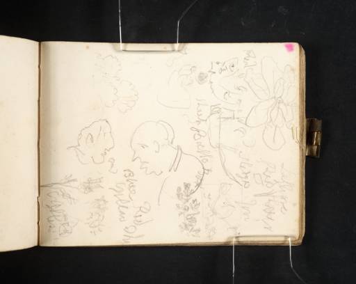 Joseph Mallord William Turner, ‘Studies of Flowers and Plants, and a View of ?Jesi; and Two Caricature Sketches of Heads’ 1819