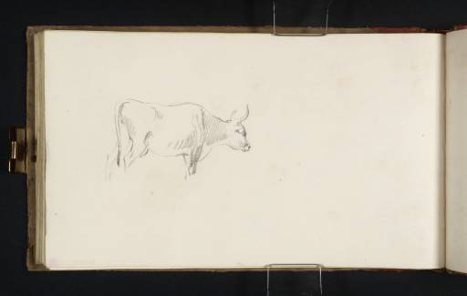 Joseph Mallord William Turner, ‘A Cow’ 1819