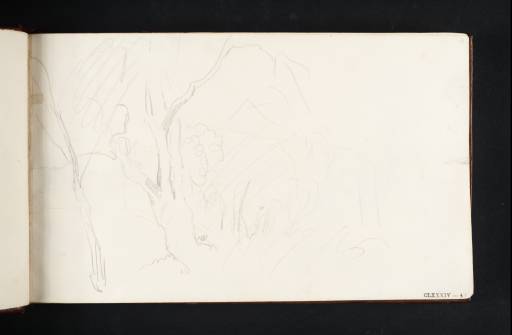 Joseph Mallord William Turner, ‘Study of Trees above Lake Albano’ 1819