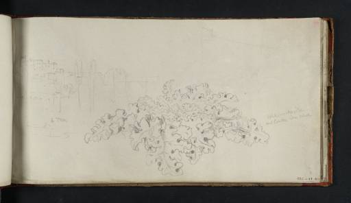 Joseph Mallord William Turner, ‘Study of Acanthus Leaves, near the Arch of Constantine and the Colosseum, Rome’ 1819