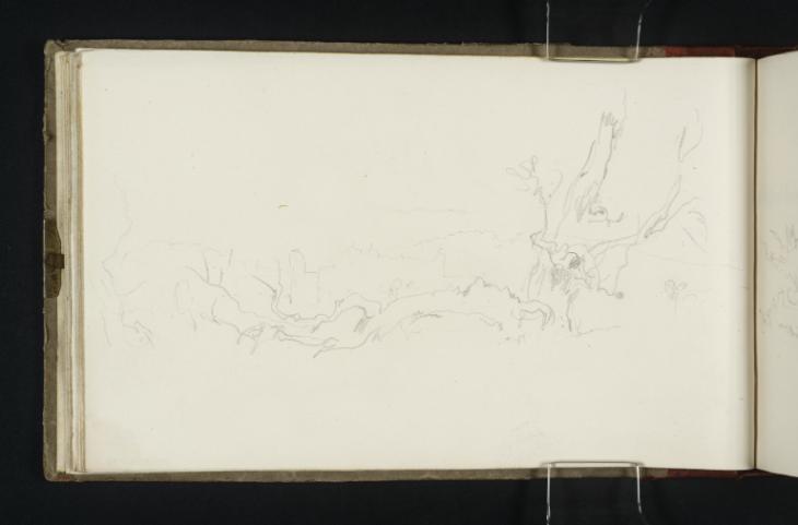 Joseph Mallord William Turner, ‘A Blasted Oak, Possibly at Cobham Hall’ c.1821-2
