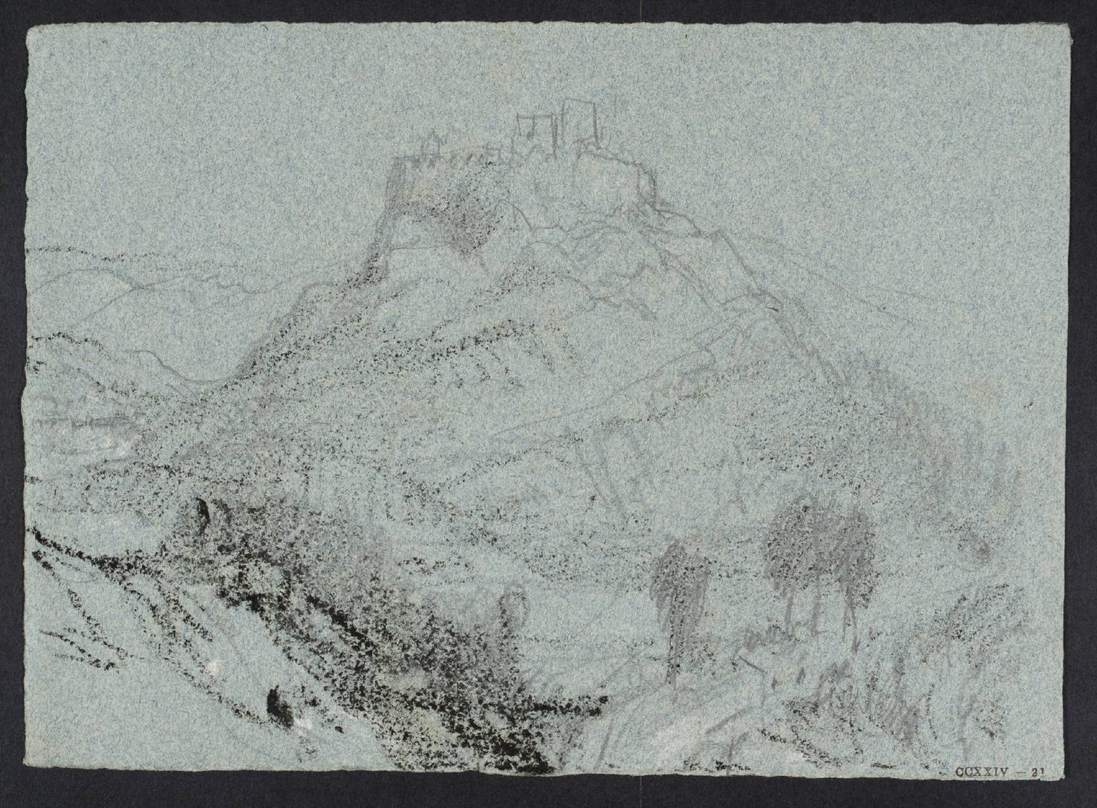 Ruined Castle on Rock