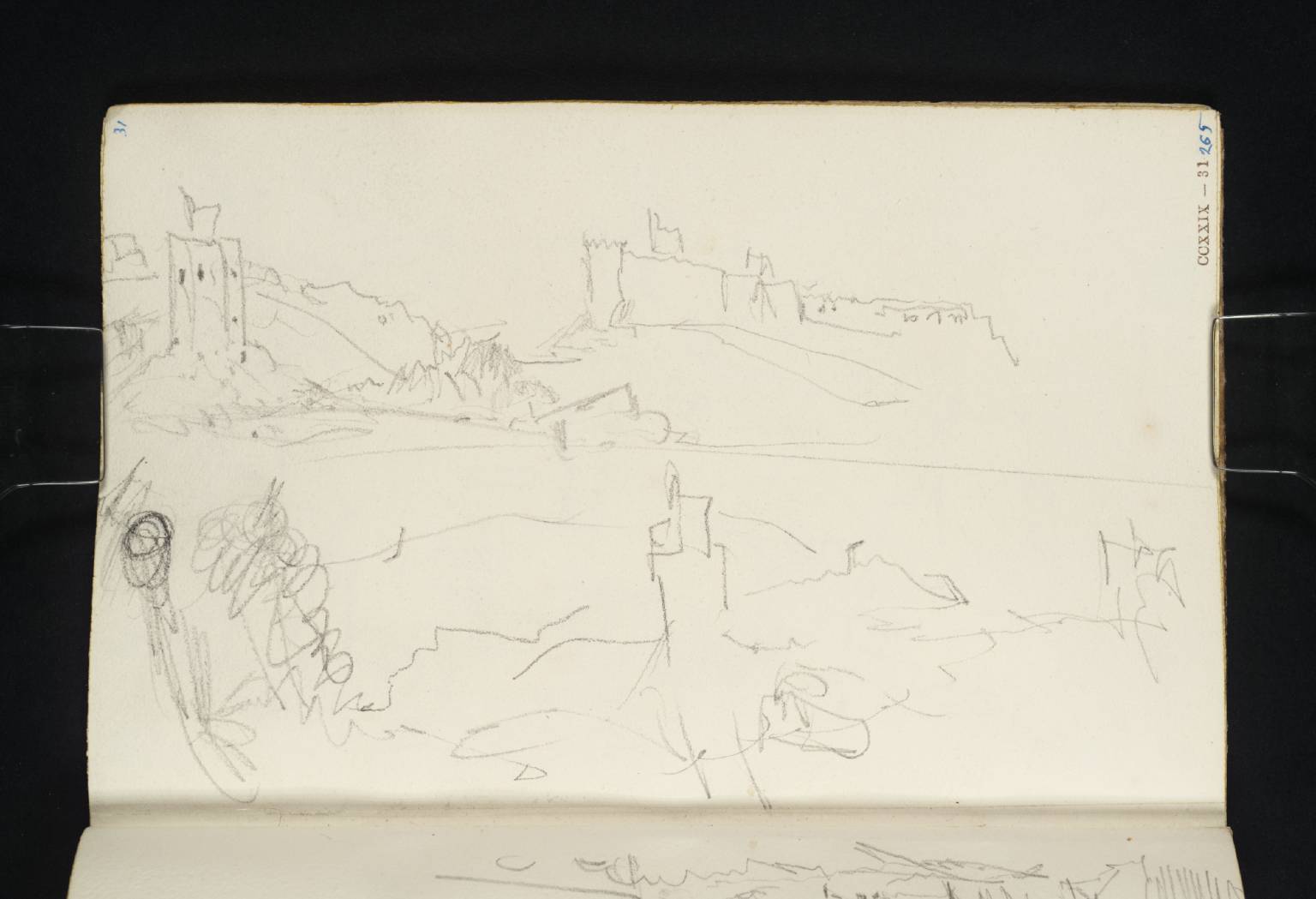 Views of Ruins