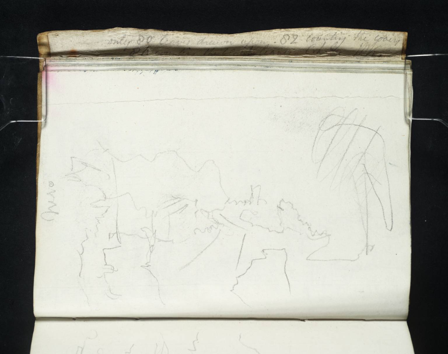 Nervi [Turner]