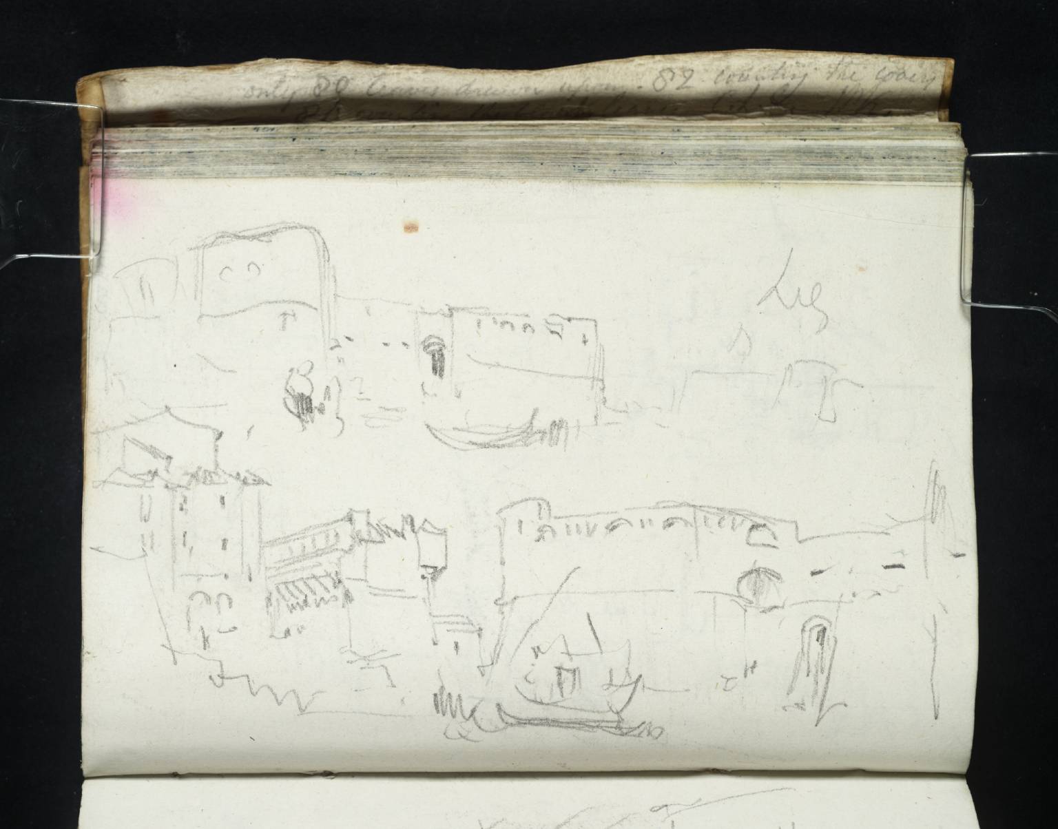 Leghorn [Turner]