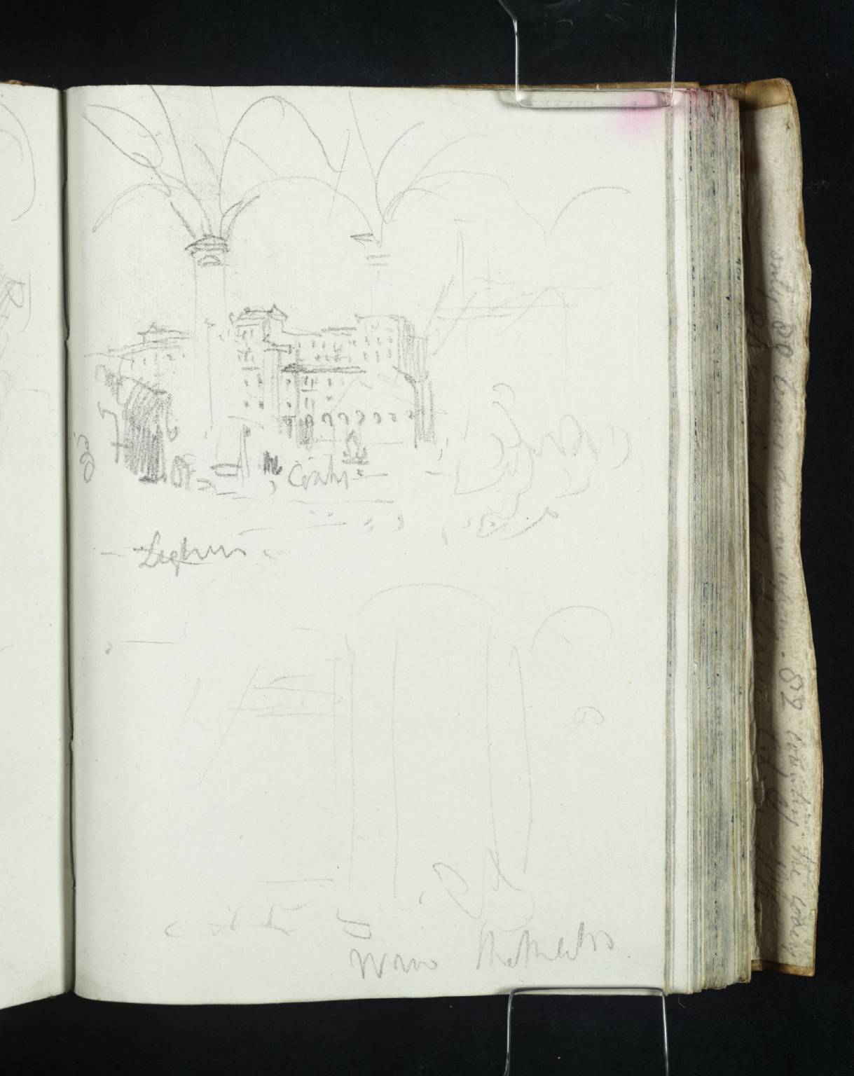 Leghorn [Turner]