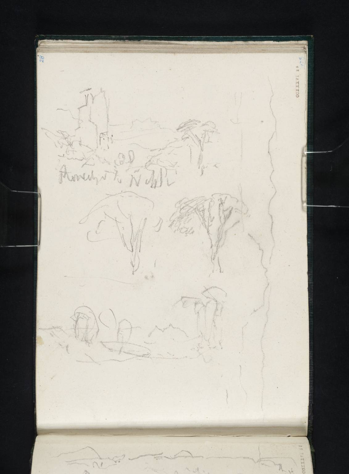 View on the Road from Ronciglione to Nepi; Views of Trees and of Mount Soracte