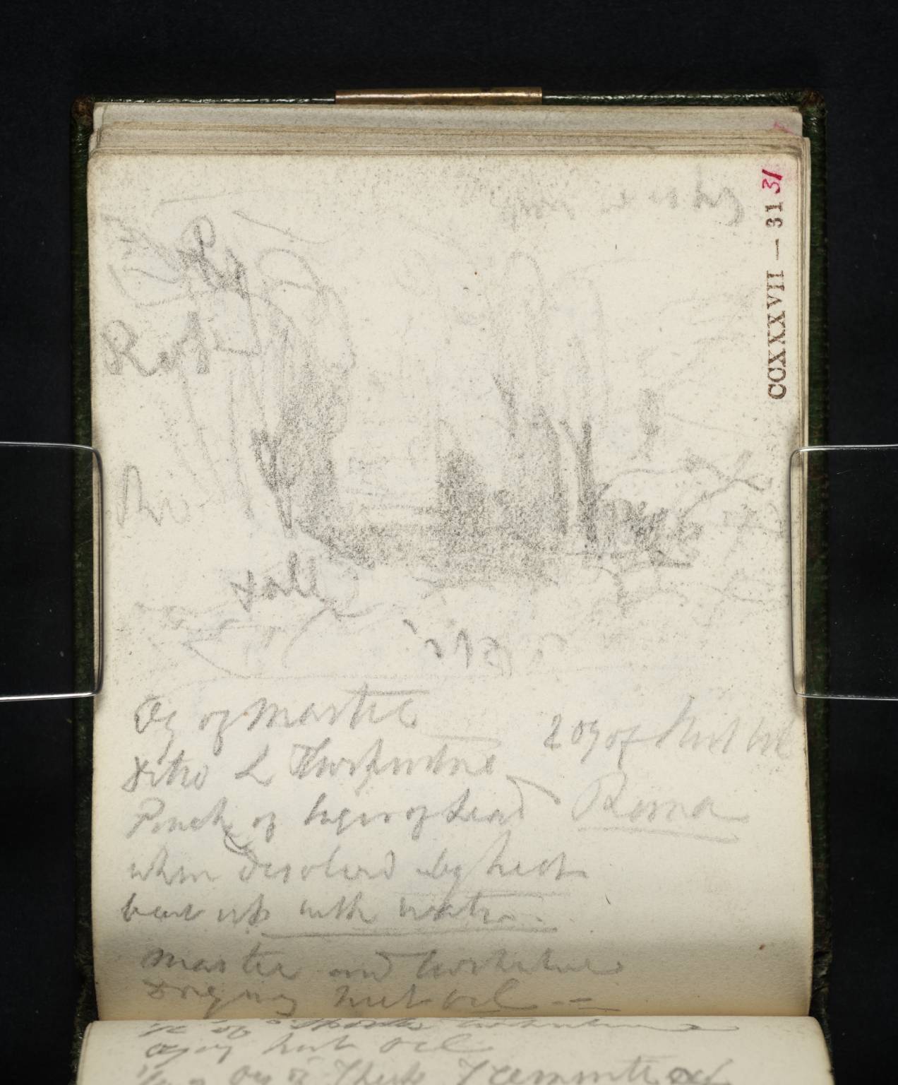 Landscape, with Trees