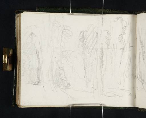 Joseph Mallord William Turner, ‘Woodland, Petworth’ c.1828