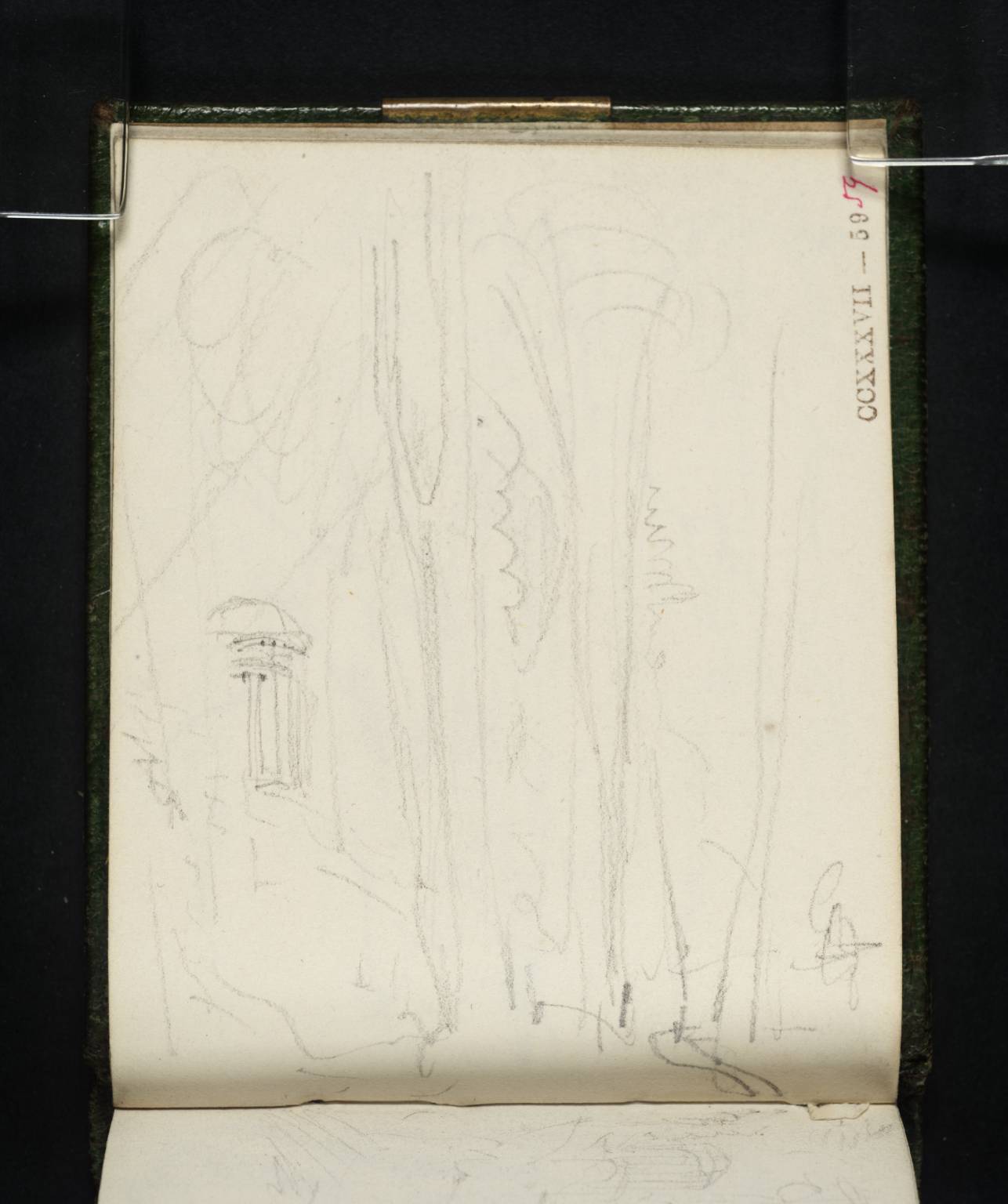 Trees, with Monument